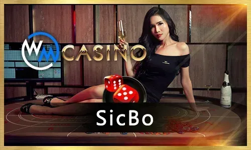 Bingoplus Live Dealer Games
